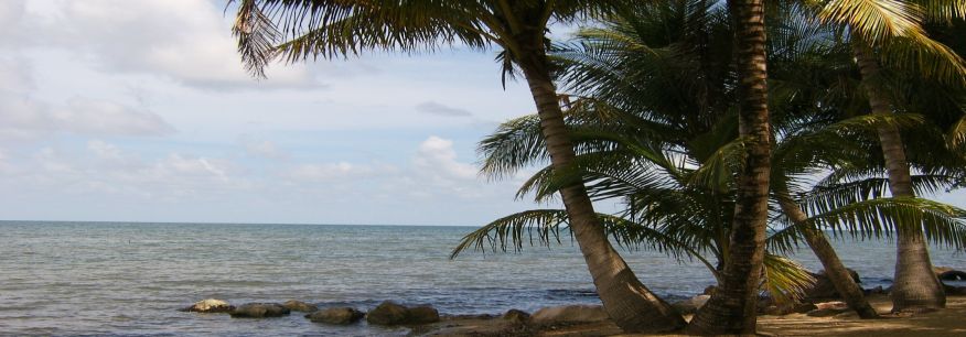 Featured Home Page Image 2