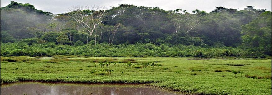 Featured Home Page Image 3