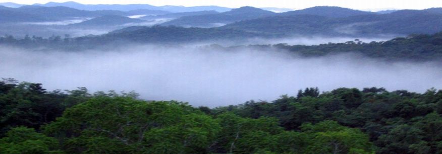 Featured Home Page Image 4