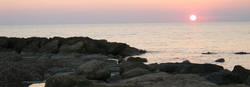 Featured Home Page Image 6